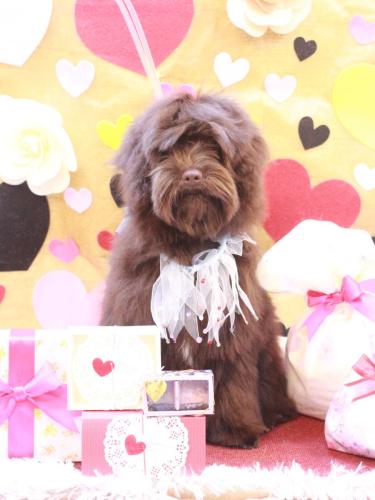 20230221ロイくん